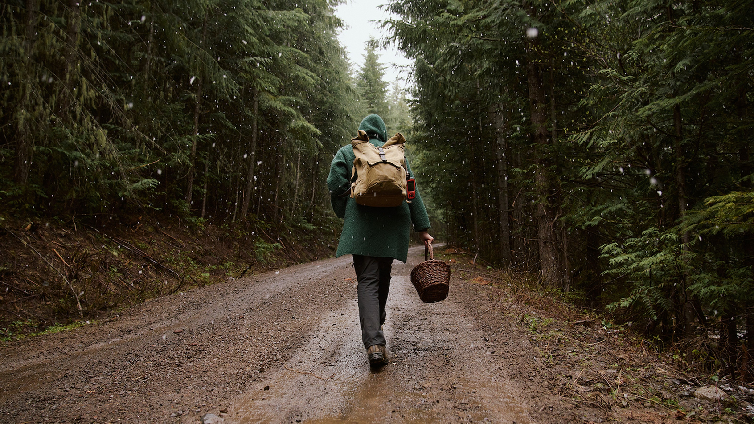 Mushroom Hunting with Yellow Elanor and the Biwa™